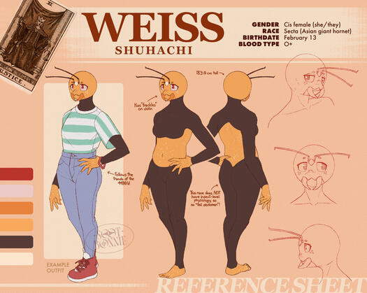 Reference sheet of personal character (Jun 2025)